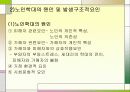 노인 문제 9페이지