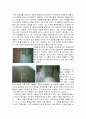 서대문 형무소를 다녀와서 [기타] 11페이지