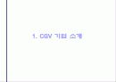 영화 그 이상의 감동 CGV 의 성공 3페이지