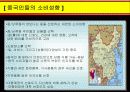 애니콜의 중국 진출기 8페이지