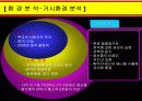 애니콜의 중국 진출기 10페이지