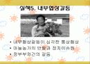 한중마늘협상 18페이지
