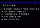 마케팅분석-아디다스 16페이지