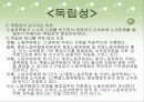 노동위원회의 기능과 권한 5페이지