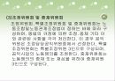 노동위원회의 기능과 권한 17페이지