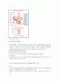 [독후감/서평/요약] 요실금(Urinary Incontinence) 3페이지