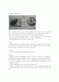 세포의 구조와 기능 [분석/조사] 8페이지