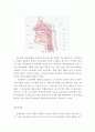 언어장애의 이해 9페이지