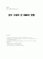 정부 규제로 본 DMB의 현황 1페이지