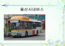 시내버스 안전 1페이지