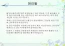 시내버스 안전 3페이지