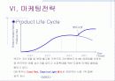 맥스의 마케팅전략 30페이지