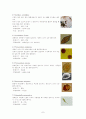 적조(Red Tide)에 관해  7페이지