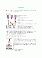 체력요소에 따른 측정방법  사진포함 2페이지