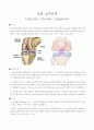 전방십자인대(Anterior Cruciate Ligament) 1페이지