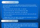 김치산업과 마케팅 14페이지