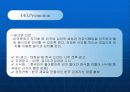 김치산업과 마케팅 20페이지