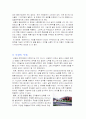 놀부보쌈 성공 요인 3페이지