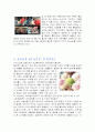 브라보콘 VS 월드콘 4페이지