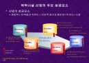사업전략기획서 13페이지