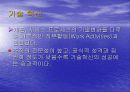 혁신의 종류 3페이지