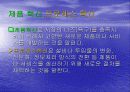혁신의 종류 5페이지