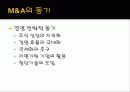 M & A (기업인수합병) 3페이지