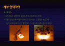 [벤처창업론]여성다이어트 식단제공 아이템 창업계획서 (A+리포트) 22페이지