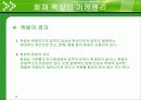 화재 · 폭발안전 4페이지