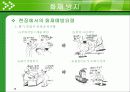 화재 · 폭발안전 14페이지