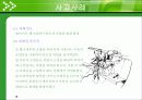 화재 · 폭발안전 18페이지