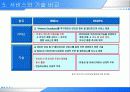 Wibro와 HSDPA 비교 10페이지