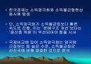 소득양극화의 현황과 원인및 해결방안(PPT) 12페이지