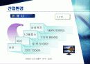 [국제통상협상] LG전자의 전략적 제휴 (LG-IBM, LG-필립스) 11페이지