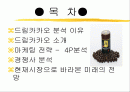 드림카카오 마케팅 전략 2페이지