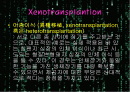 이종간 장기이식(Xenotransplantation)에 관한 팀프로젝트//수의학과 학생이 직접 제작//특A급 2페이지