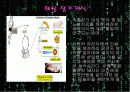이종간 장기이식(Xenotransplantation)에 관한 팀프로젝트//수의학과 학생이 직접 제작//특A급 3페이지