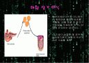 이종간 장기이식(Xenotransplantation)에 관한 팀프로젝트//수의학과 학생이 직접 제작//특A급 4페이지
