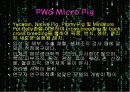 이종간 장기이식(Xenotransplantation)에 관한 팀프로젝트//수의학과 학생이 직접 제작//특A급 7페이지