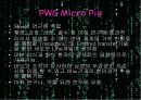 이종간 장기이식(Xenotransplantation)에 관한 팀프로젝트//수의학과 학생이 직접 제작//특A급 11페이지
