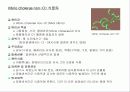 어패류에 의한 식중독 10페이지