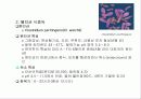 어패류에 의한 식중독 13페이지