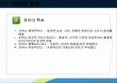 생득주의 언어습득 (촘스키) 5페이지