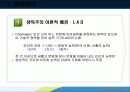 생득주의 언어습득 (촘스키) 13페이지