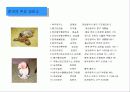 '내가 만든 e비지니스 사이트' 기획안 (ppt용) 7페이지