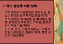 일본 & 중국 식사예절 25페이지