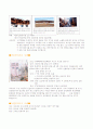 재해 요인 및 대책 4페이지