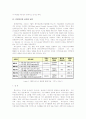 2007년 와이브로에 대한 개념과 도입배경 및 추진방향과 기술 분석 레포트 9페이지