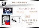 태권도 관광상품 마케팅 전략 4페이지