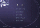 ETRI (한국전자통신연구원)조사 2페이지